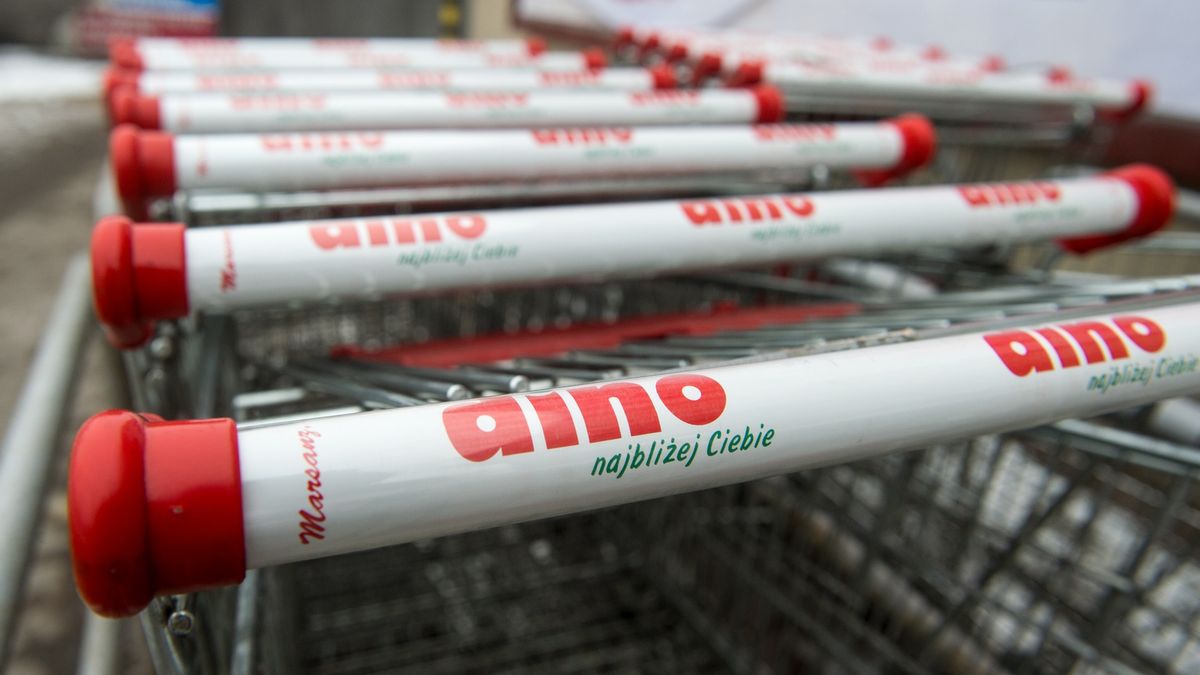 Rozwój Dino nabiera coraz większego tempa