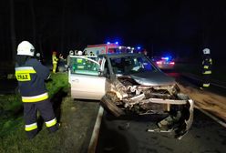 Wypadek na DK12 w Kąkolewie. Pięcioro rannych, w tym dzieci