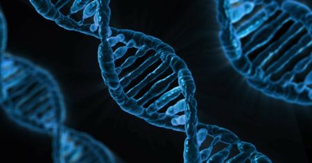 Koronawirus i zamknięte szkoły. Sprawdź, ile pamiętasz z lekcji biologii. Poziom 8. klasy podstawówki
