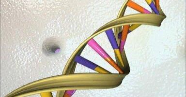 Poznali DNA