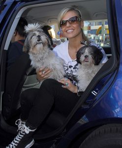 Doda apeluje do fanów. "Nie przychodźcie na moje koncerty z psami"