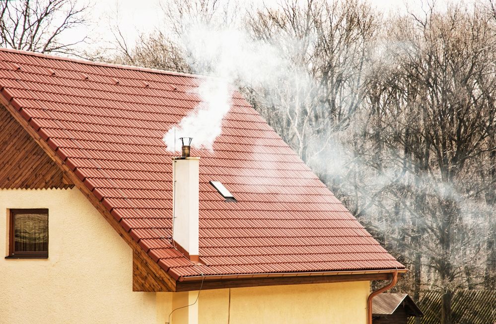 W konkursie wystartowała jedna osoba. Zajęła trzecie miejsce