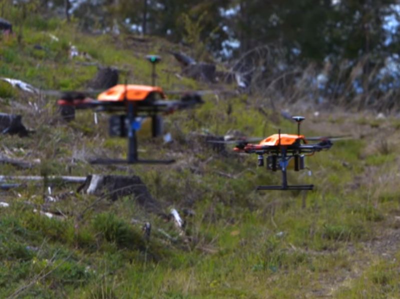 Zaskakujący pomysł na walkę z zanieczyszczeniem powietrza. Te drony posadzą 100 tys. drzew dziennie