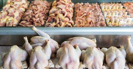 Komisja Europejska dogadała się z Ukrainą. Uderzy to w polskich producentów drobiu
