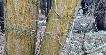 Stalowy drut w poprzek ścieżki rowerowej nad Odrą. Jedna osoba wpadła w pułapkę