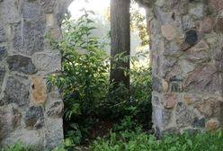 Koniec lata widziany oczami naszych czytelników. Tak wyglądały ostatnie ciepłe dni