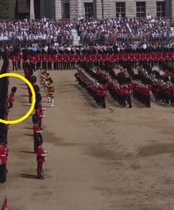 Urodziny królowej Elżbiety II. Pięciu gwardzistów nie wytrzymało