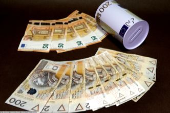 Kursy walut. Koniec roku może być trudny dla złotego