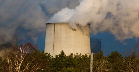 To skutki wycinki drzew. Lasy na Ziemi produkują więcej CO2 niż go pochłaniają