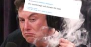 Elon Musk "posadzi" milion drzew w ramach walki z globalnym ociepleniem