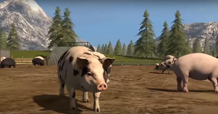 PETA żądna krwi. Domaga się rzezi zwierząt w Farming Simulator 17