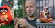 TOP 10: najpopularniejsze filmy w polskich kinach 2016