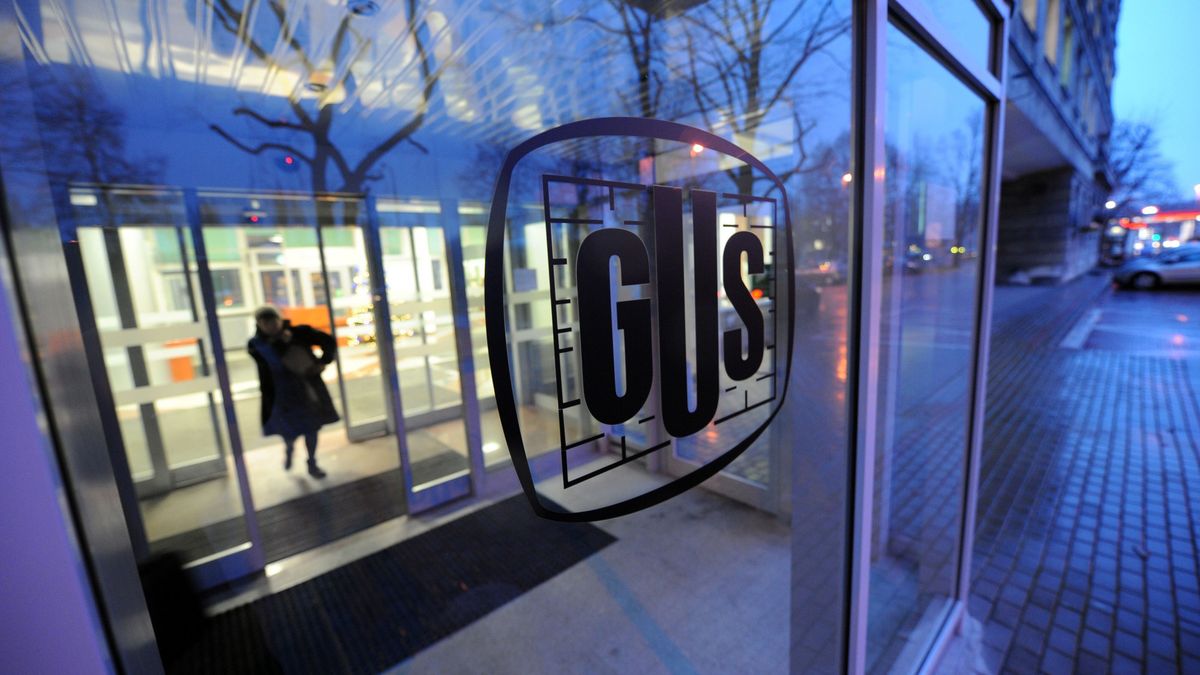 Przetarg w GUS. Urząd szuka firmy, która stworzy nowy system informatyczny