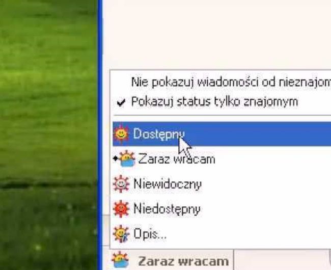 "Wszyscy jesteśmy cyborgami". Jak internet zmieniał się razem z Polską i Polakami
