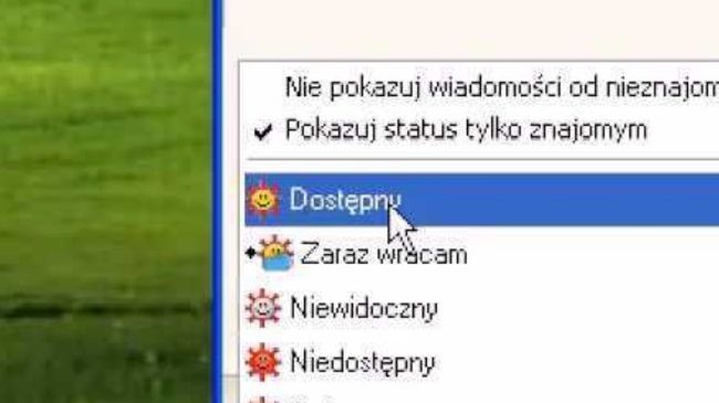 Jak zmieniał się polski internet?