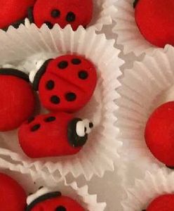 Uwaga! GIS ostrzega przed słodkimi biedronkami