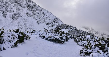 Karkonosze. Zagrożenie lawinowe, ale turystom to nie przeszadza