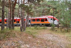 Półwysep Helski. Tragedia na przejeździe kolejowym. Nie żyje rowerzysta