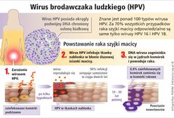 HPV? A co to jest?!