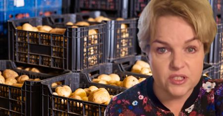 Kasia Bosacka ujawnia prawdę o ziemniakach. Mało kto zwraca na to uwagę