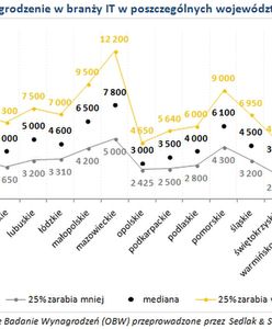 IT najlepiej opłacą branżą