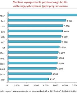 Czego warto się uczyć, by dobrze zarabiać w IT