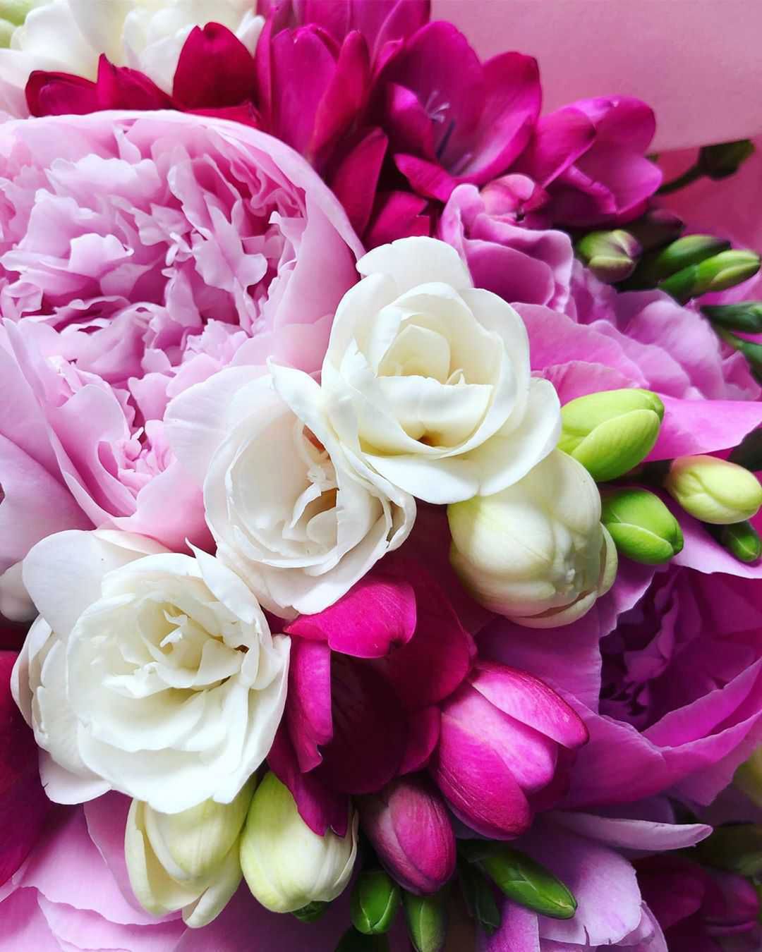 Kwiaty od syna Izabeli Janachowskiej z okazji Dnia Matki