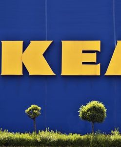 Ikea w Niemczech odkupi stare meble. Od 1 września