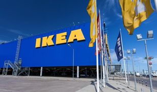 Ikea otwiera kolejny sklep w Polsce. Stworzyła 240 miejsc pracy
