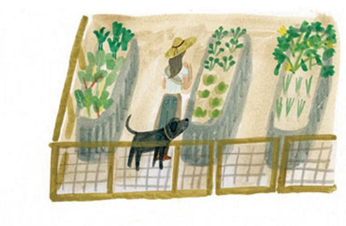 Ilustracja z książki The Bench napisanej przez Meghan Markle
