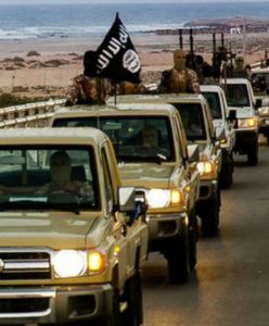 Szwedce grozi kara śmierci. Osierociłaby trójkę dzieci