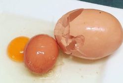 Rolnik znalazł ogromne jajko. W jego wnętrzu było kolejne