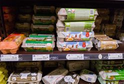 Jaja na Wielkanoc będą tanie. Producenci: "Jest nadpodaż"