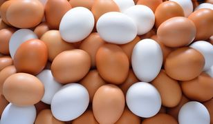 Rekordowy wzrost cen jaj. Tańsze szybko nie będą