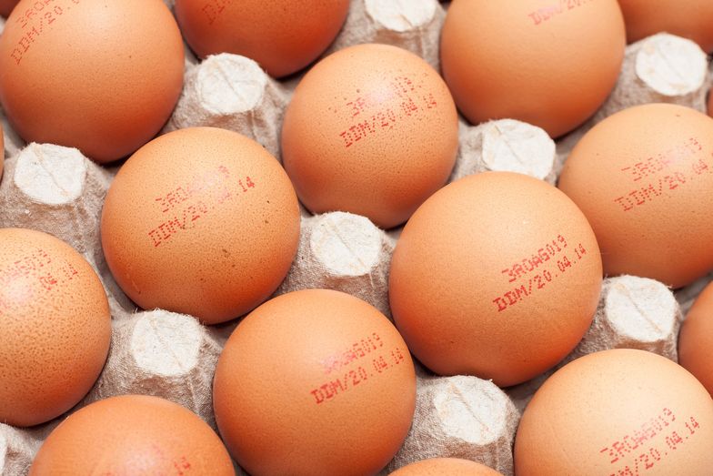 Afera jajeczna: inspekcja nie dopatrzyła się nieprawidłowości