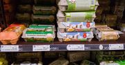 Jaja na Wielkanoc będą tanie. Producenci: "Jest nadpodaż"