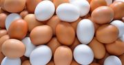 Rekordowy wzrost cen jaj. Tańsze szybko nie będą
