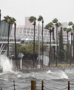 Potężny tajfun Jebi w Japonii. Setki osób rannych