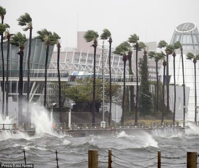 Potężny tajfun Jebi w Japonii. Setki osób rannych