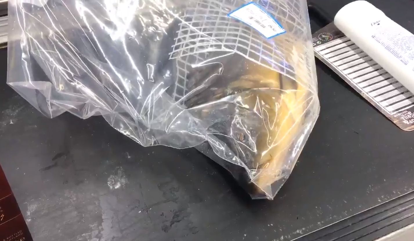 Sieć Carrefour jako jedna z nielicznych zdecydowała się na sprzedaż żywych karpi. 