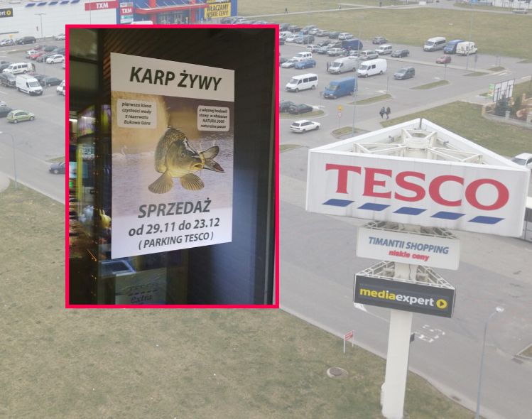 Tesco oficjalnie zrezygnowało ze sprzedaży żywych karpi. Ale znaleźli inny sposób