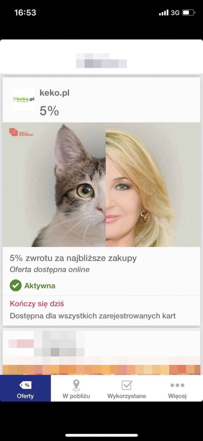 Wizerunek Majki Jeżowskiej wykorzystany w kampanii rabatowej sklepu zoologicznego