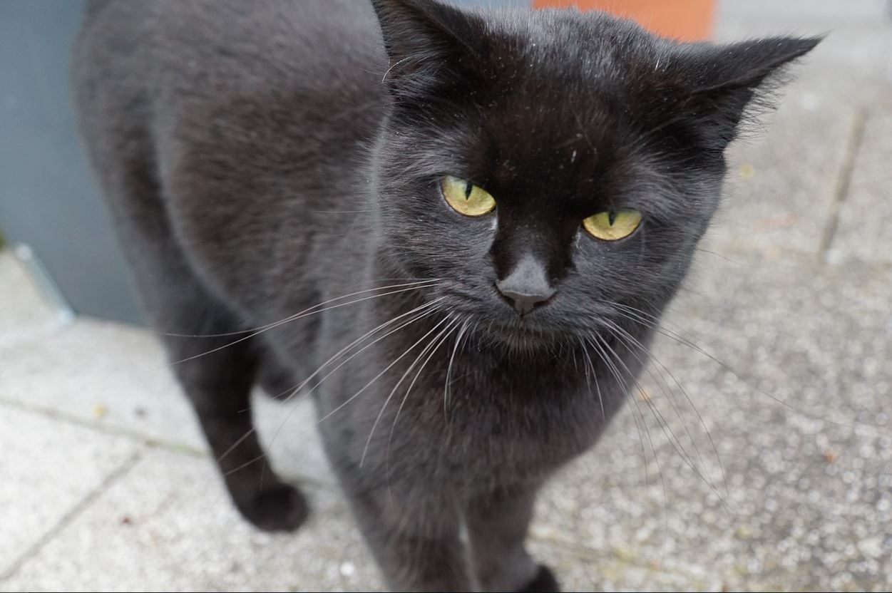 9 pytań, które sprawdzą, jak bardzo trzeźwo myślisz