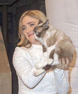 Ministerstwo Cyfryzacji żegna Grumpy Cat. "Jest nam po ludzku przykro" - i smutna buźka