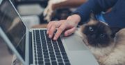 Zobacz, jak dzięki gadżetom ułatwić sobie życie z pupilem