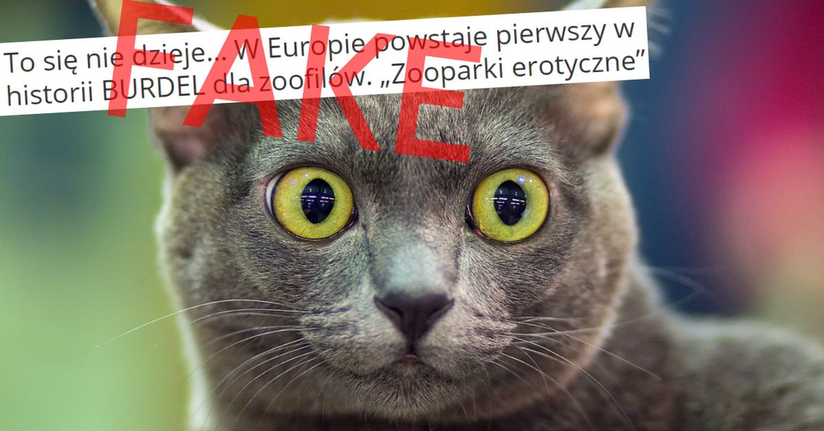 Informacja o domu publicznym ze zwierzętami co kilka miesięcy podbija internet.