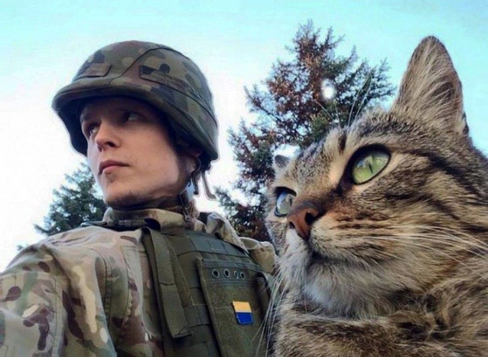 Koty w ukraińskiej armii. Mają bardzo ważne zadanie