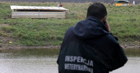 Martwe kozy w Warszawie. Sprawę zbada prokuratura