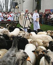 Bacowskie święto w Ludźmierzu