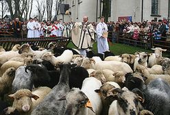 Bacowskie święto w Ludźmierzu